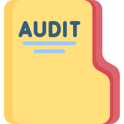 CFO Audit